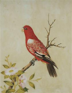 Full Catalogue Entry
