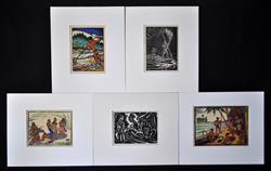 Full Catalogue Entry